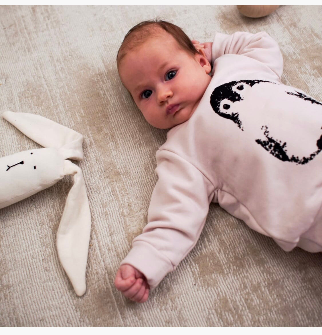 Signature Pullover with Penguin / cotton